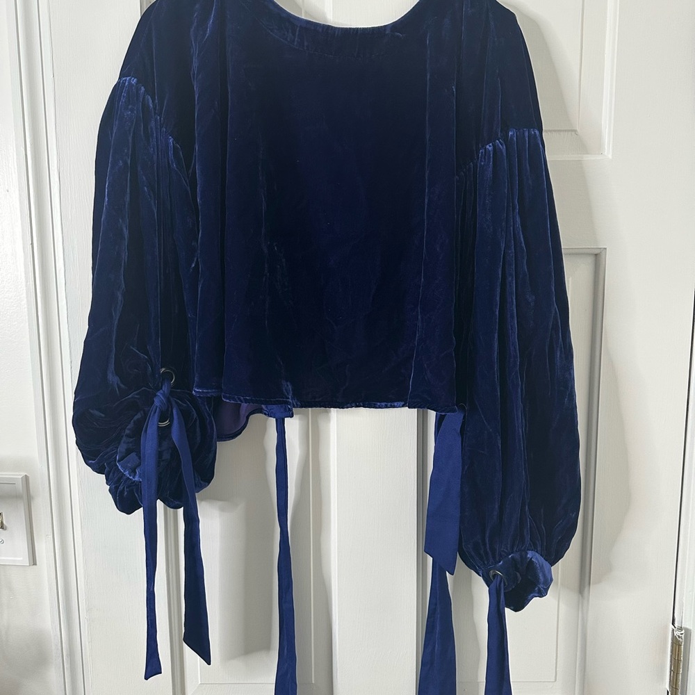 Free People Open Back Blue Velvet Blouse